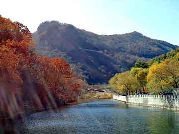 管家婆黑白马报图库，复仇天使闯校园